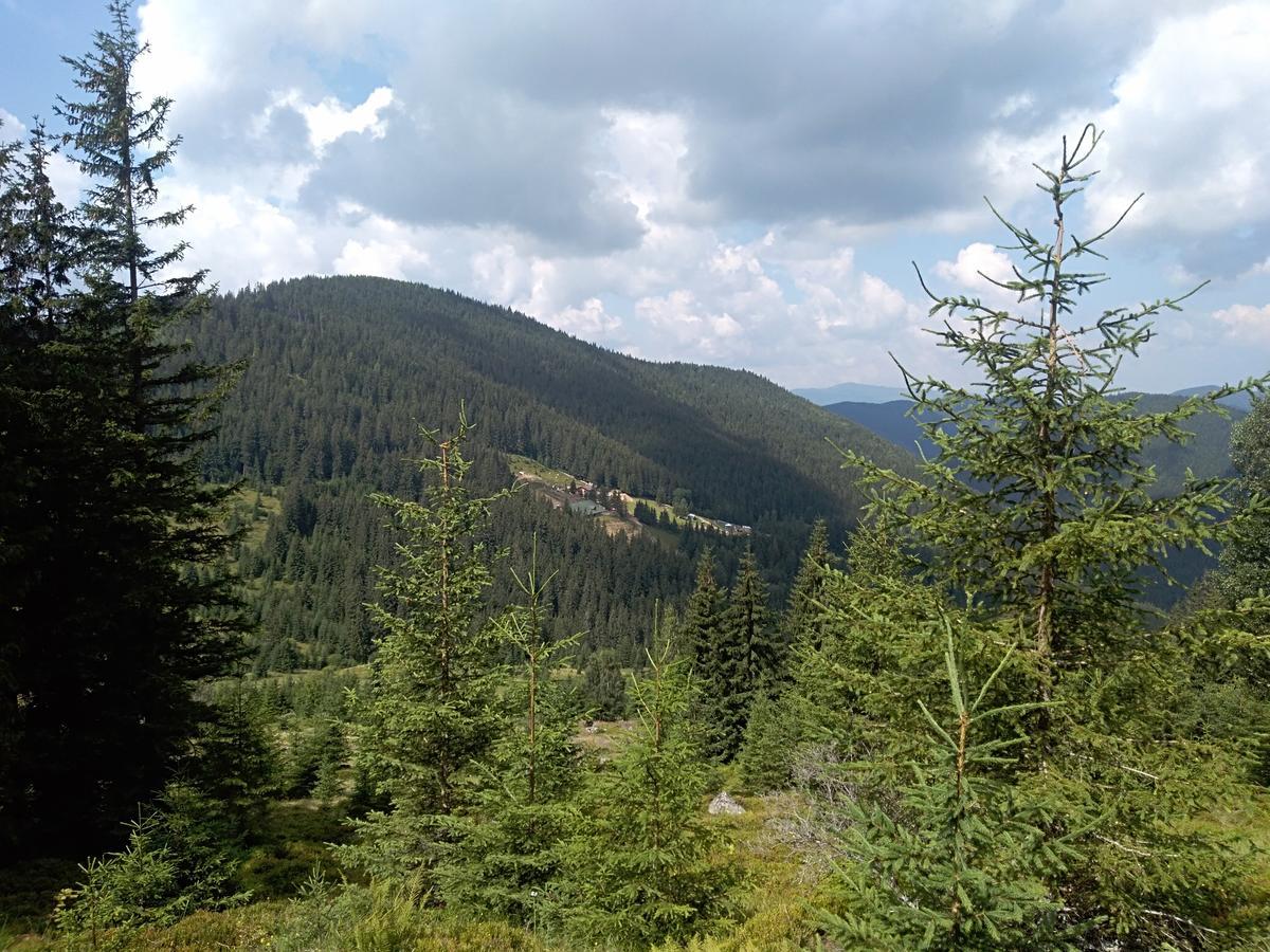 Котедж "Барвінок" Верховина Екстериор снимка