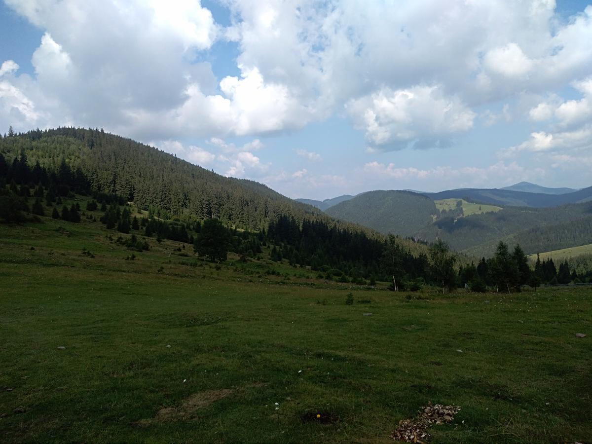 Котедж "Барвінок" Верховина Екстериор снимка